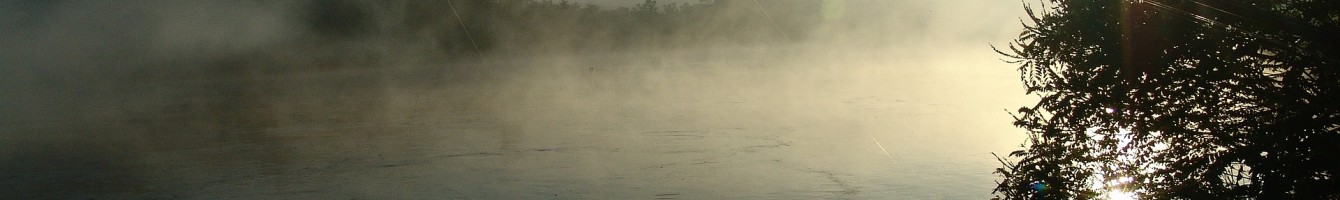 fishing-674900_1920