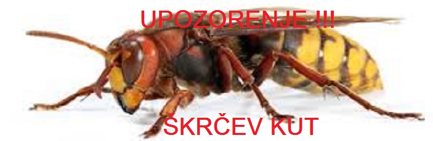 strsljen-skrcevkut