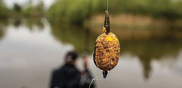 feeder